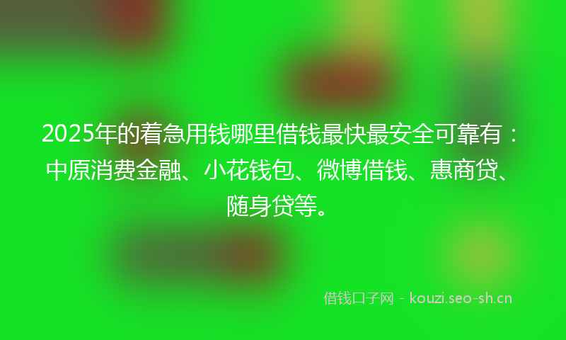 2025年的着急用钱哪里借钱最快最安全可靠有：中原消费金融、小花钱包、微博借钱、惠商贷、随身贷等。