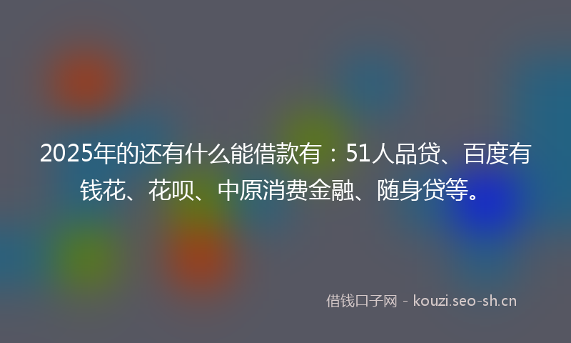 2025年的还有什么能借款有：51人品贷、百度有钱花、花呗、中原消费金融、随身贷等。