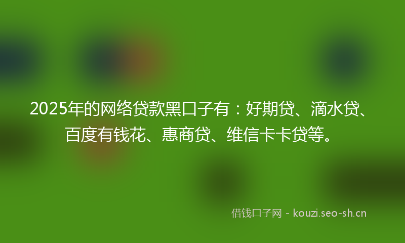2025年的网络贷款黑口子有：好期贷、滴水贷、百度有钱花、惠商贷、维信卡卡贷等。