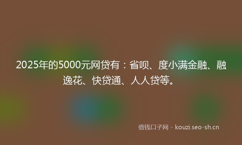 2025年的5000元网贷有：省呗、度小满金融、融逸花、快贷通、人人贷等。