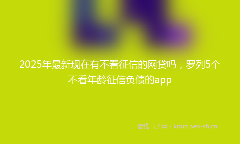 2025年最新现在有不看征信的网贷吗，罗列5个不看年龄征信负债的app