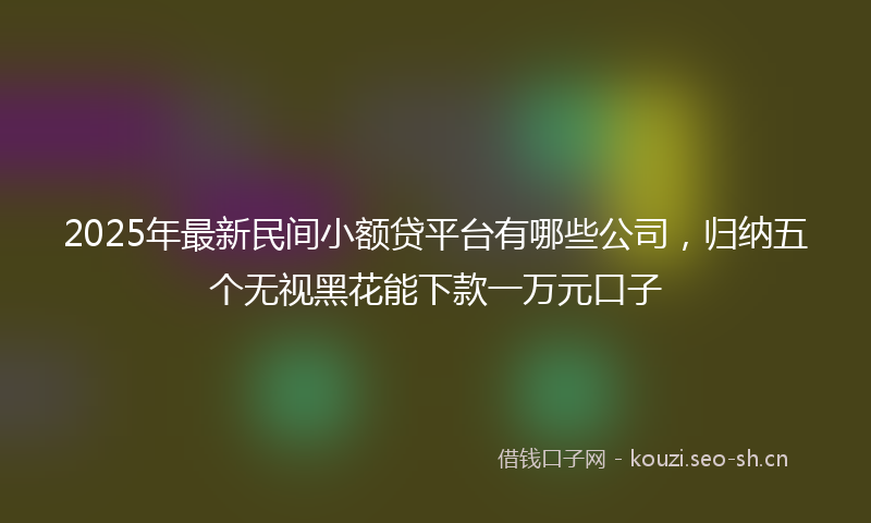 2025年最新民间小额贷平台有哪些公司，归纳五个无视黑花能下款一万元口子