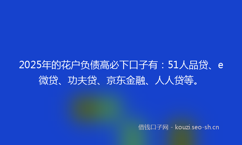 2025年的花户负债高必下口子有：51人品贷、e微贷、功夫贷、京东金融、人人贷等。