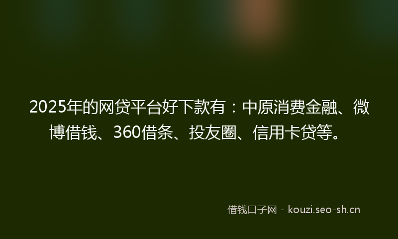 2025年的网贷平台好下款有：中原消费金融、微博借钱、360借条、投友圈、信用卡贷等。