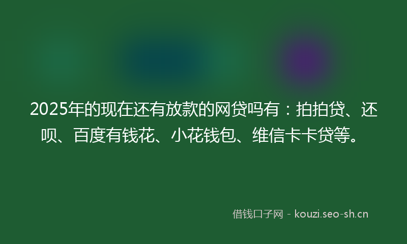 2025年的现在还有放款的网贷吗有：拍拍贷、还呗、百度有钱花、小花钱包、维信卡卡贷等。