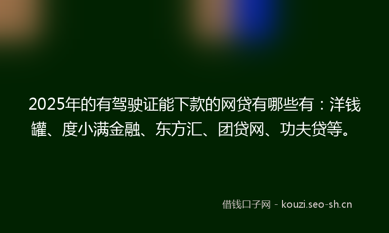 2025年的有驾驶证能下款的网贷有哪些有：洋钱罐、度小满金融、东方汇、团贷网、功夫贷等。