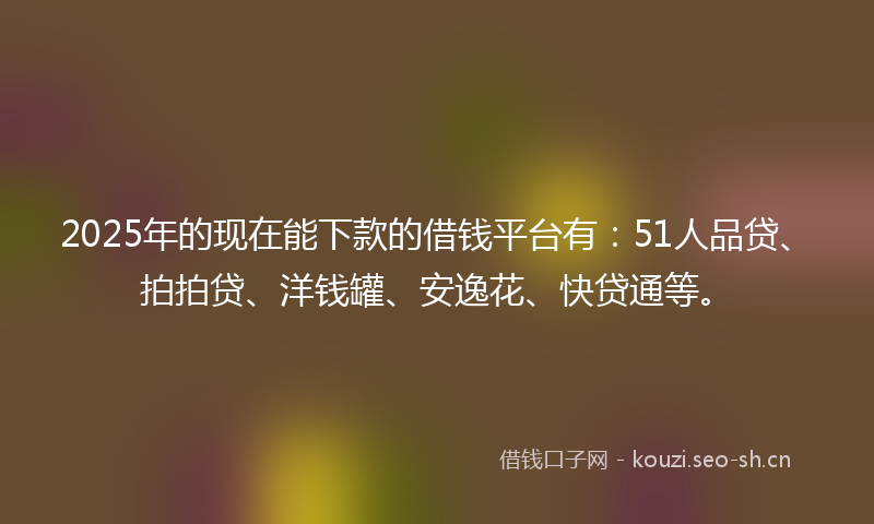 2025年的现在能下款的借钱平台有：51人品贷、拍拍贷、洋钱罐、安逸花、快贷通等。
