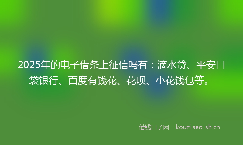 2025年的电子借条上征信吗有：滴水贷、平安口袋银行、百度有钱花、花呗、小花钱包等。