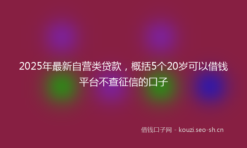 2025年最新自营类贷款，概括5个20岁可以借钱平台不查征信的口子