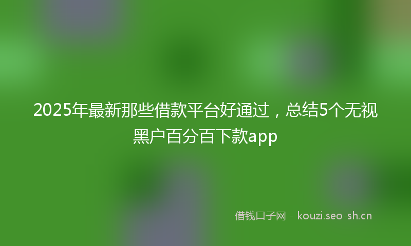 2025年最新那些借款平台好通过，总结5个无视黑户百分百下款app