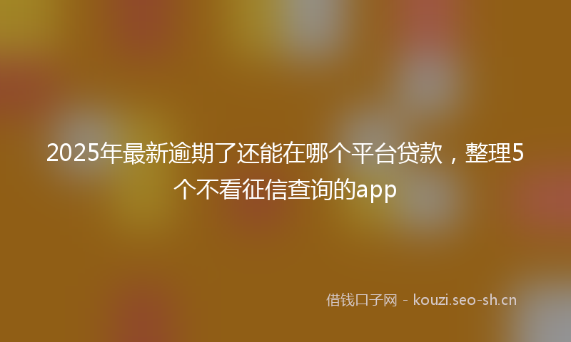 2025年最新逾期了还能在哪个平台贷款，整理5个不看征信查询的app