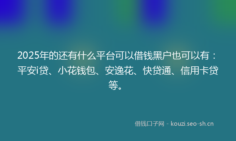2025年的还有什么平台可以借钱黑户也可以有：平安i贷、小花钱包、安逸花、快贷通、信用卡贷等。