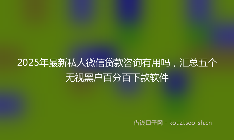 2025年最新私人微信贷款咨询有用吗，汇总五个无视黑户百分百下款软件
