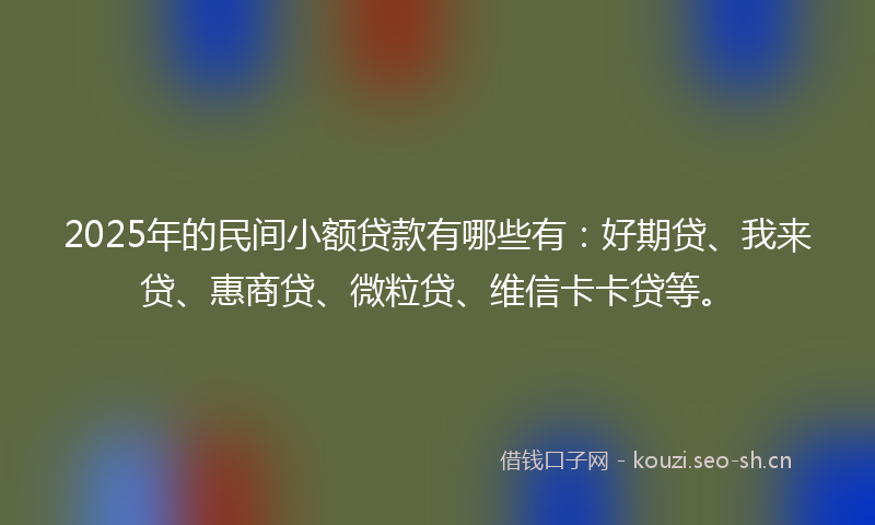 2025年的民间小额贷款有哪些有：好期贷、我来贷、惠商贷、微粒贷、维信卡卡贷等。