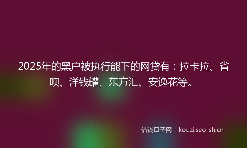 2025年的黑户被执行能下的网贷有：拉卡拉、省呗、洋钱罐、东方汇、安逸花等。