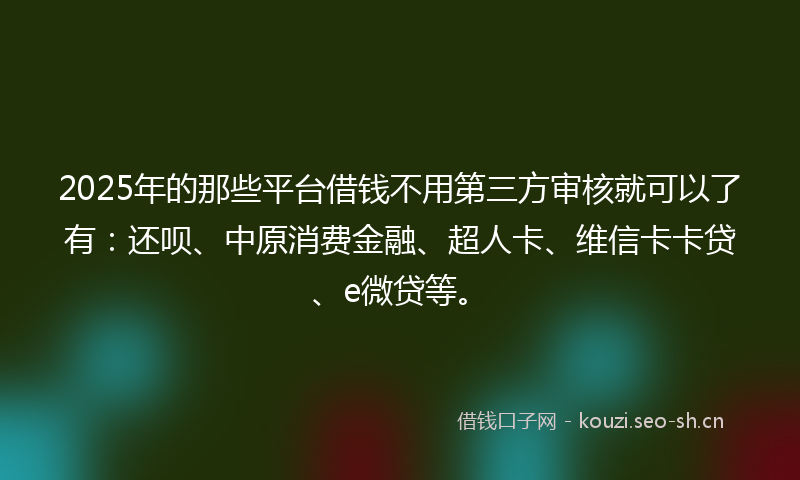 2025年的那些平台借钱不用第三方审核就可以了有：还呗、中原消费金融、超人卡、维信卡卡贷、e微贷等。