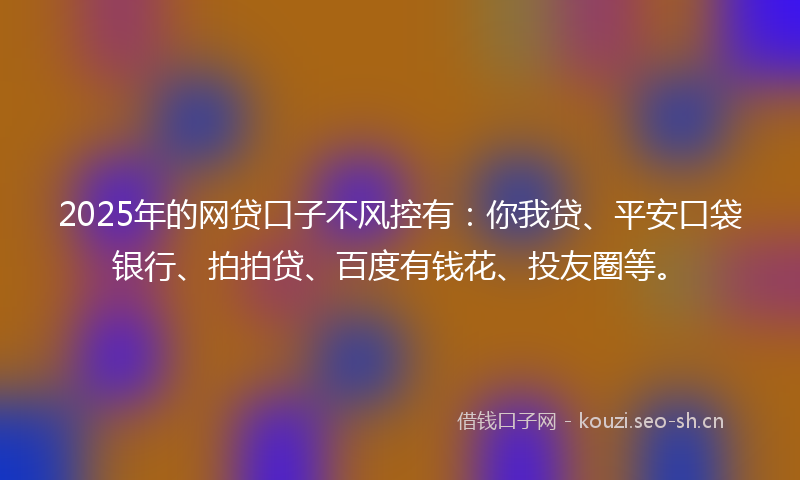 2025年的网贷口子不风控有：你我贷、平安口袋银行、拍拍贷、百度有钱花、投友圈等。