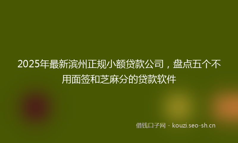 2025年最新滨州正规小额贷款公司，盘点五个不用面签和芝麻分的贷款软件