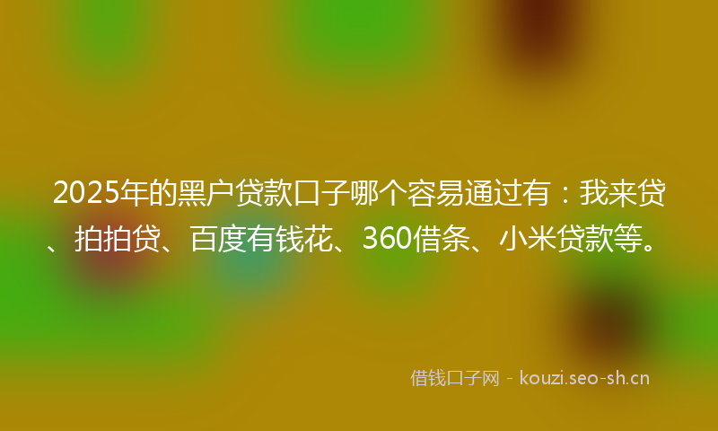 2025年的黑户贷款口子哪个容易通过有：我来贷、拍拍贷、百度有钱花、360借条、小米贷款等。