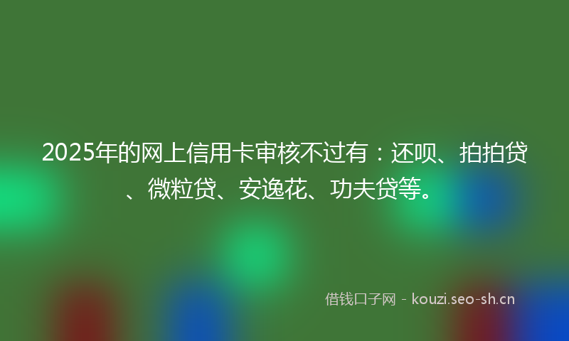 2025年的网上信用卡审核不过有：还呗、拍拍贷、微粒贷、安逸花、功夫贷等。