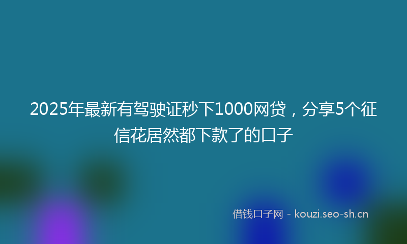 2025年最新有驾驶证秒下1000网贷，分享5个征信花居然都下款了的口子