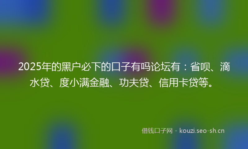 2025年的黑户必下的口子有吗论坛有：省呗、滴水贷、度小满金融、功夫贷、信用卡贷等。