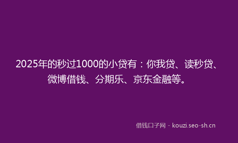 2025年的秒过1000的小贷有：你我贷、读秒贷、微博借钱、分期乐、京东金融等。