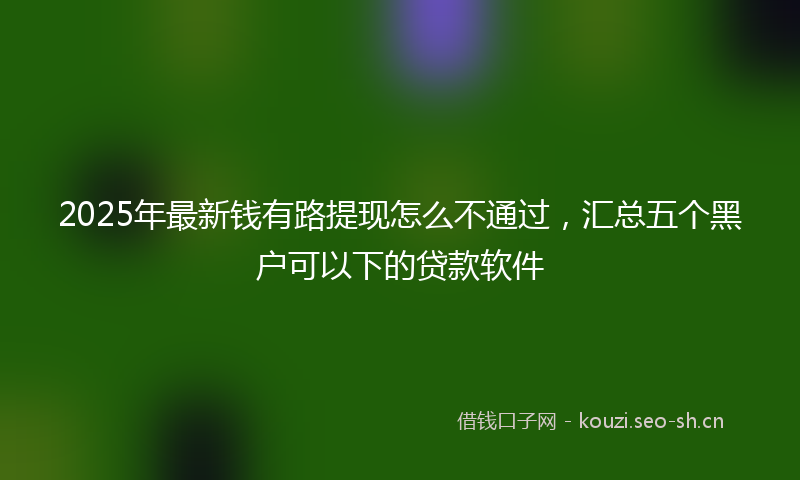 2025年最新钱有路提现怎么不通过，汇总五个黑户可以下的贷款软件