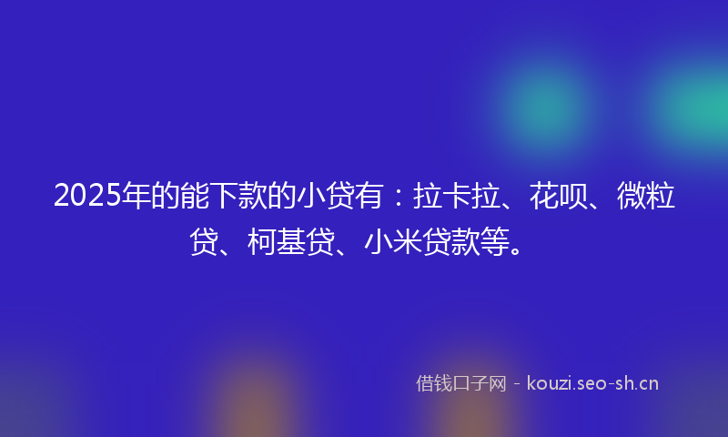 2025年的能下款的小贷有：拉卡拉、花呗、微粒贷、柯基贷、小米贷款等。