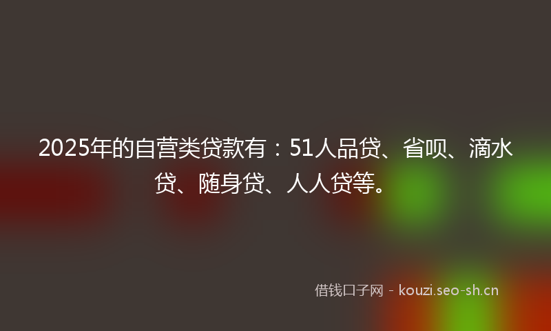 2025年的自营类贷款有：51人品贷、省呗、滴水贷、随身贷、人人贷等。