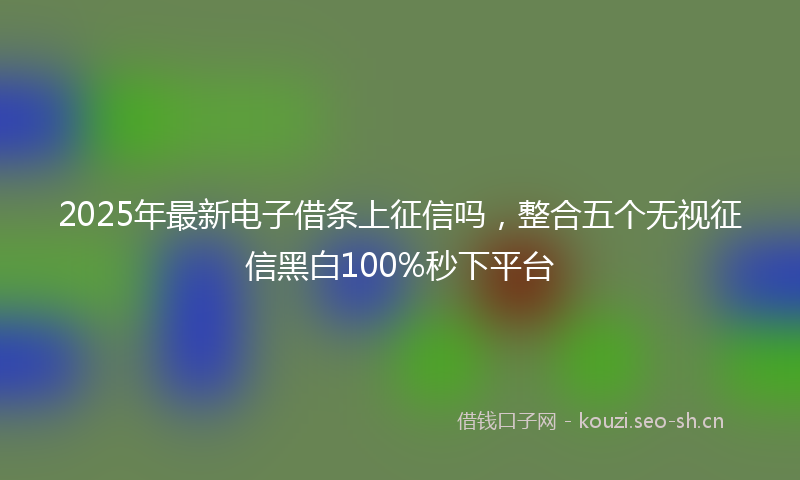 2025年最新电子借条上征信吗，整合五个无视征信黑白100%秒下平台