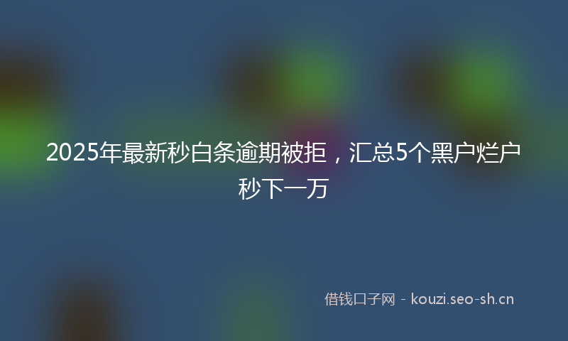 2025年最新秒白条逾期被拒，汇总5个黑户烂户秒下一万