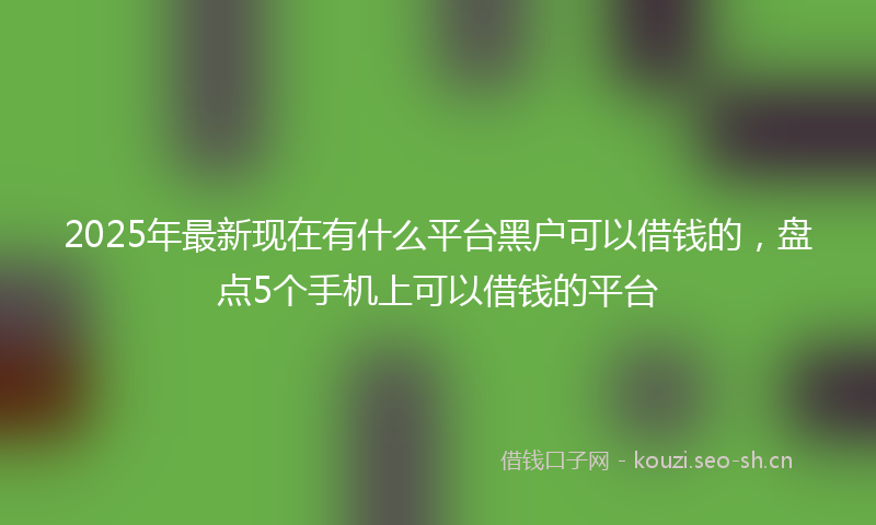 2025年最新现在有什么平台黑户可以借钱的，盘点5个手机上可以借钱的平台