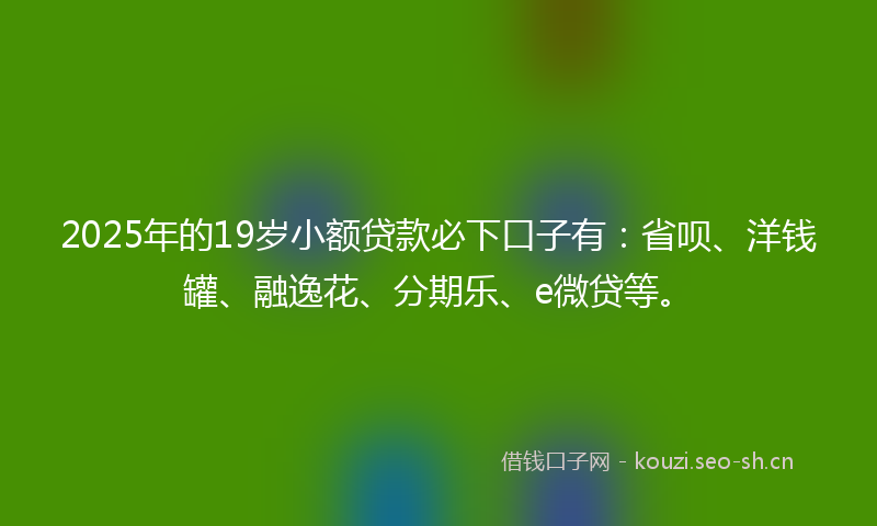 2025年的19岁小额贷款必下口子有：省呗、洋钱罐、融逸花、分期乐、e微贷等。