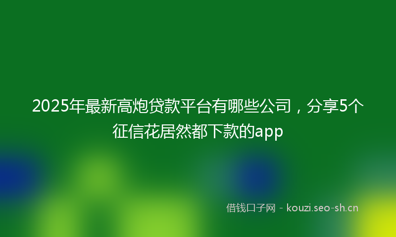 2025年最新高炮贷款平台有哪些公司，分享5个征信花居然都下款的app