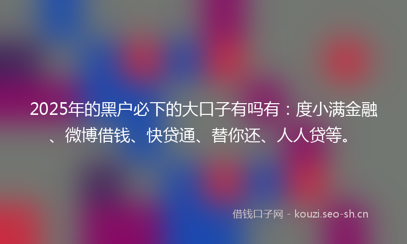 2025年的黑户必下的大口子有吗有：度小满金融、微博借钱、快贷通、替你还、人人贷等。