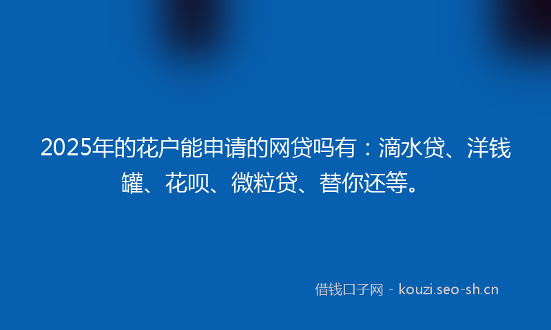2025年的花户能申请的网贷吗有：滴水贷、洋钱罐、花呗、微粒贷、替你还等。