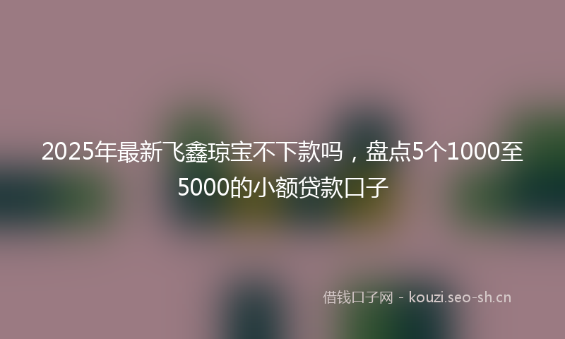 2025年最新飞鑫琼宝不下款吗，盘点5个1000至5000的小额贷款口子