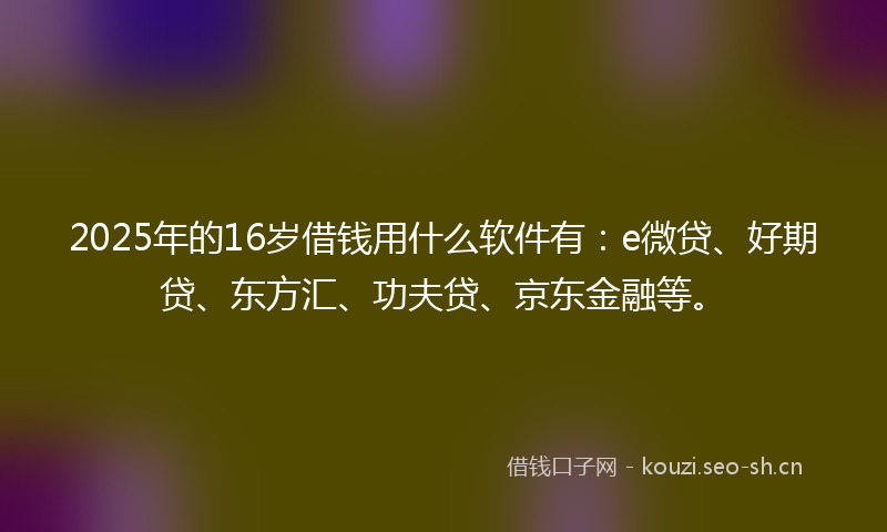2025年的16岁借钱用什么软件有：e微贷、好期贷、东方汇、功夫贷、京东金融等。