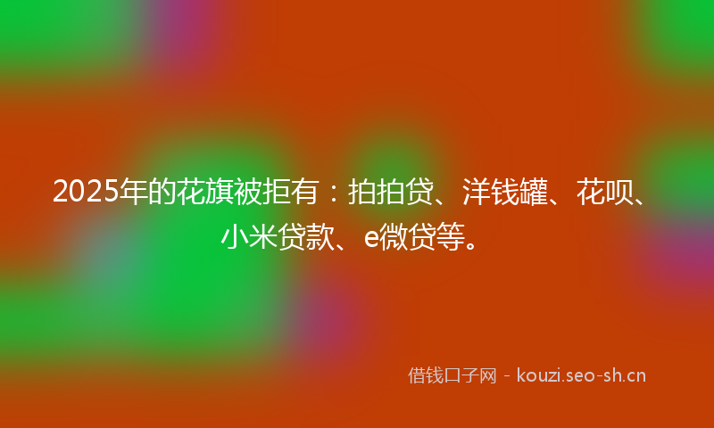 2025年的花旗被拒有：拍拍贷、洋钱罐、花呗、小米贷款、e微贷等。