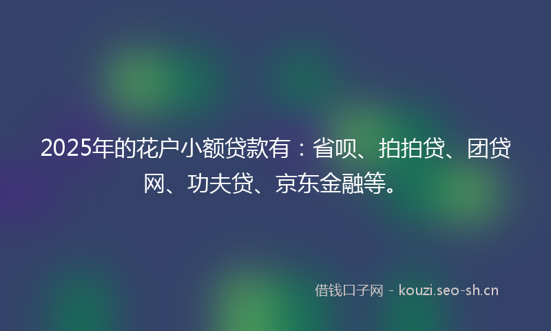 2025年的花户小额贷款有：省呗、拍拍贷、团贷网、功夫贷、京东金融等。