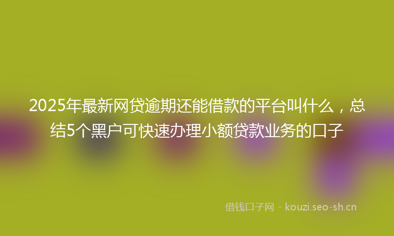 2025年最新网贷逾期还能借款的平台叫什么，总结5个黑户可快速办理小额贷款业务的口子