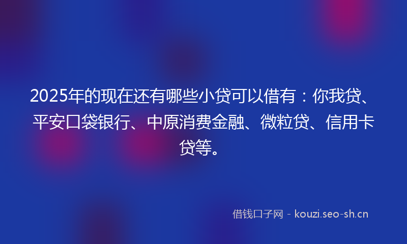 2025年的现在还有哪些小贷可以借有：你我贷、平安口袋银行、中原消费金融、微粒贷、信用卡贷等。