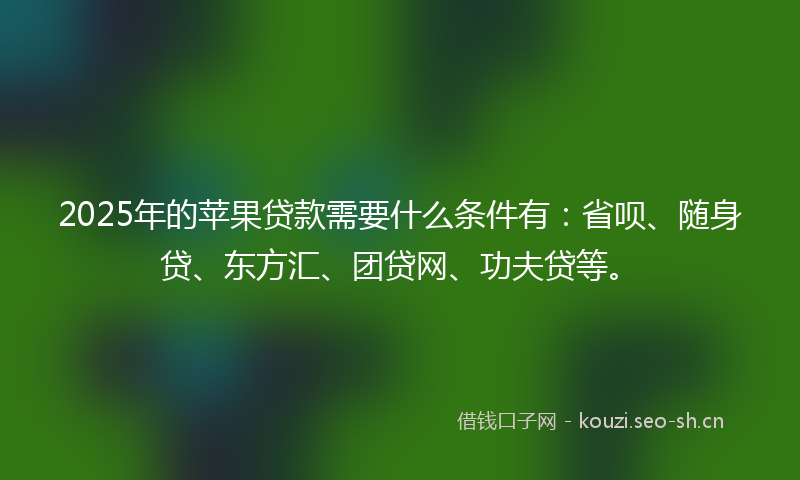 2025年的苹果贷款需要什么条件有：省呗、随身贷、东方汇、团贷网、功夫贷等。