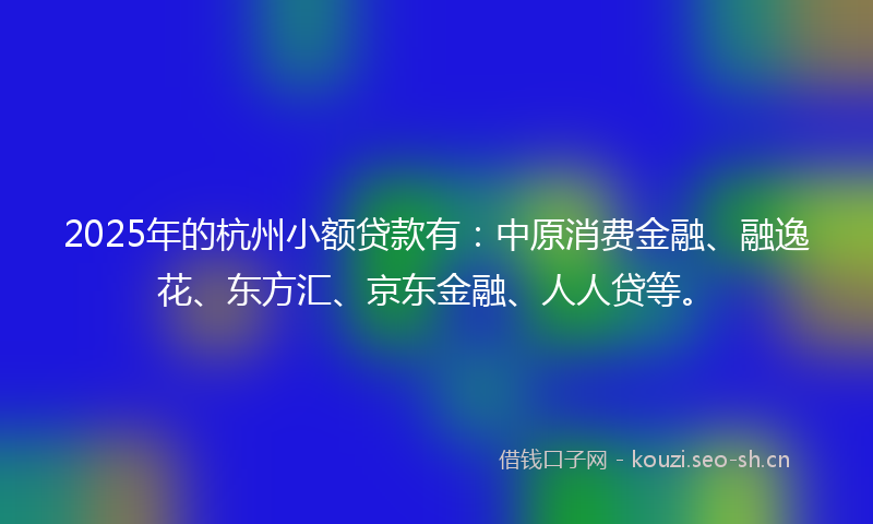 2025年的杭州小额贷款有：中原消费金融、融逸花、东方汇、京东金融、人人贷等。