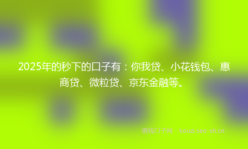 2025年的秒下的口子有：你我贷、小花钱包、惠商贷、微粒贷、京东金融等。