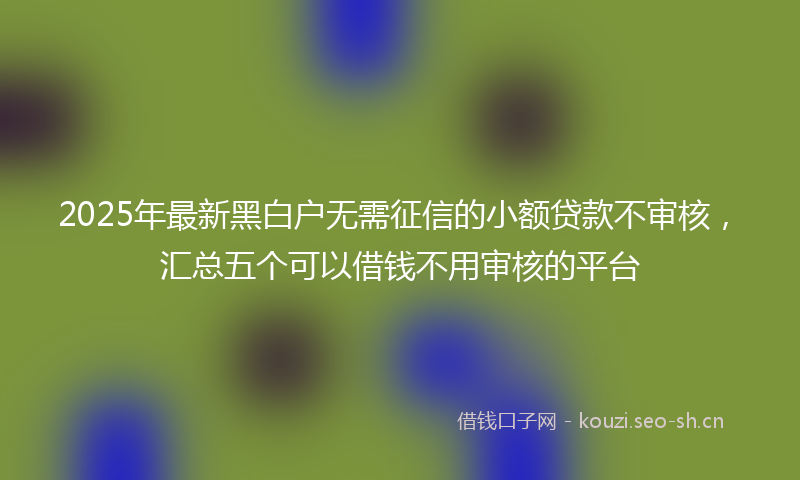 2025年最新黑白户无需征信的小额贷款不审核，汇总五个可以借钱不用审核的平台
