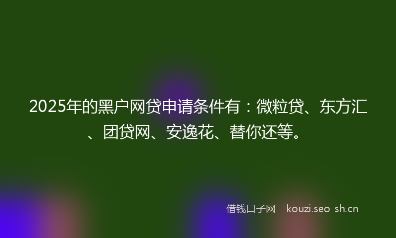 2025年的黑户网贷申请条件有：微粒贷、东方汇、团贷网、安逸花、替你还等。