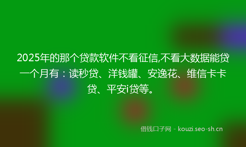 2025年的那个贷款软件不看征信,不看大数据能贷一个月有：读秒贷、洋钱罐、安逸花、维信卡卡贷、平安i贷等。