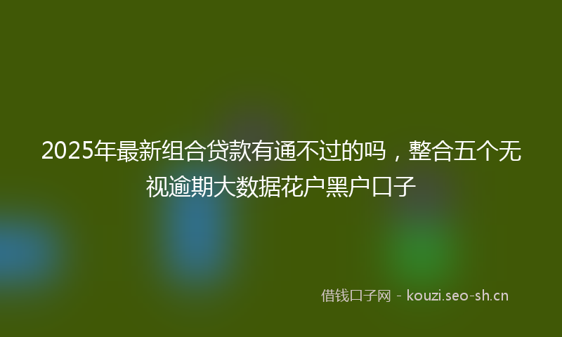 2025年最新组合贷款有通不过的吗，整合五个无视逾期大数据花户黑户口子